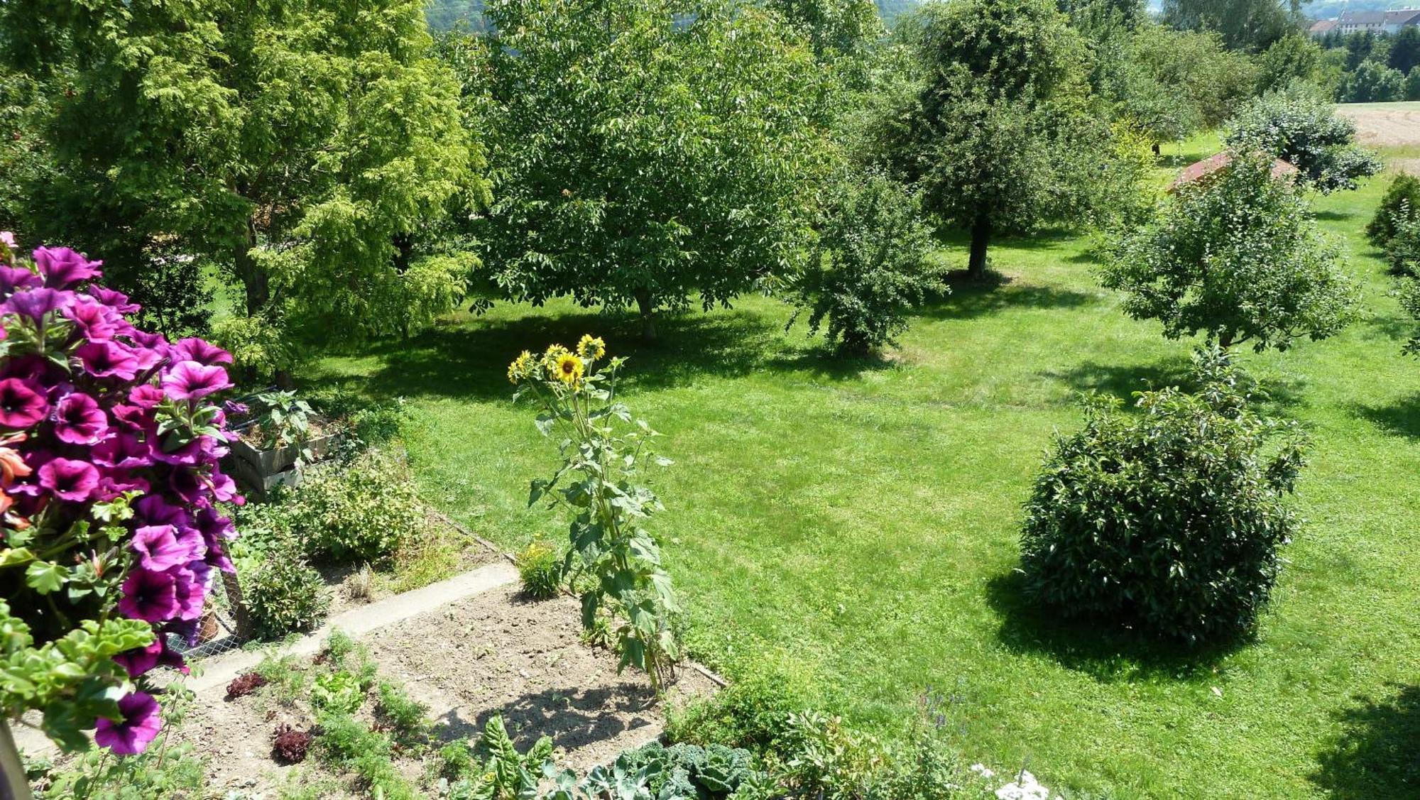 Blumenwiese Weilheim Exteriör bild